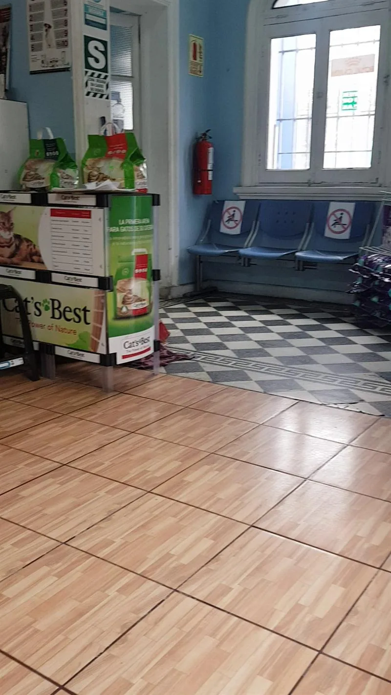 La sala de espera de Pancanvet, con bancas azules, piso ajedrezado y el exhibidor de arena para gatos.