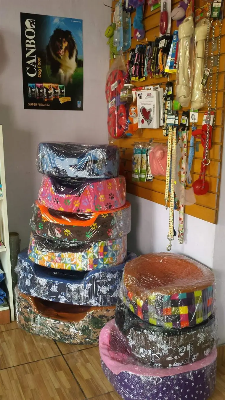 Estantes de la tienda con camas, rascadores y alimento para gatos.