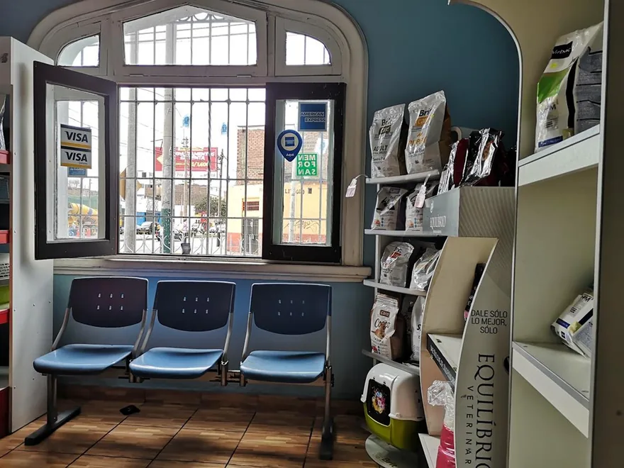 La ventana en arco de la recepción, con las sillas de espera y los estantes de alimento al fondo.